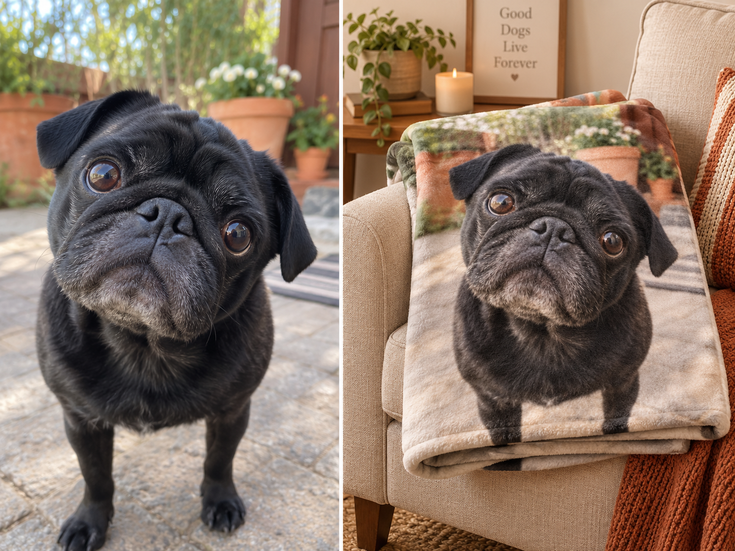 Pug photo turned into a custom dog blanket, before and after — MyDogPics