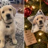 Labrador puppy photo turned into a custom star-shaped Christmas dog ornament — MyDogPics