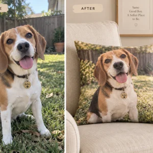 Beagle photo turned into a custom dog pillow, before and after — MyDogPics