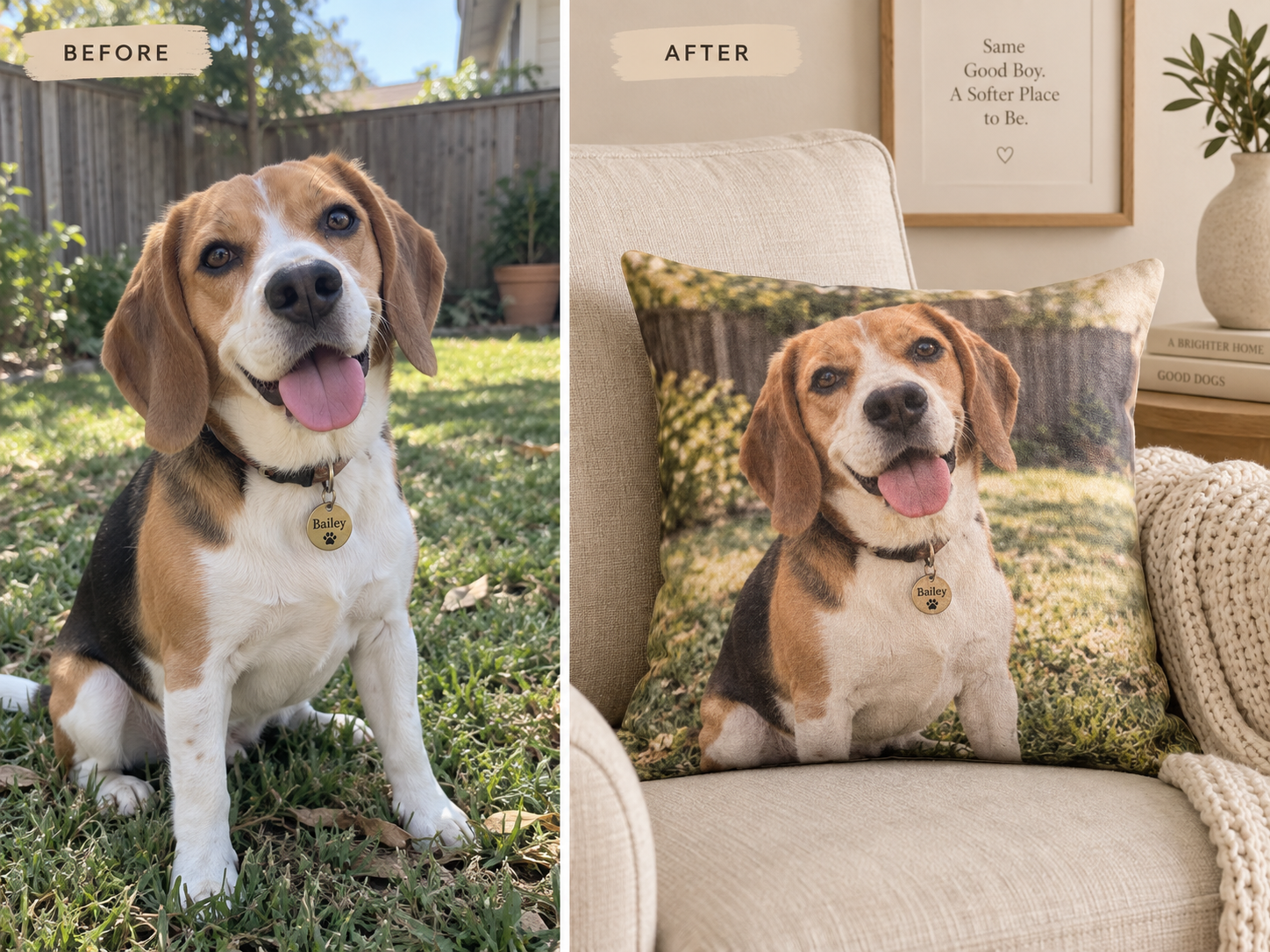 Beagle photo turned into a custom dog pillow, before and after — MyDogPics