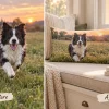 Border collie photo turned into a custom lumbar pillow, before and after — MyDogPics