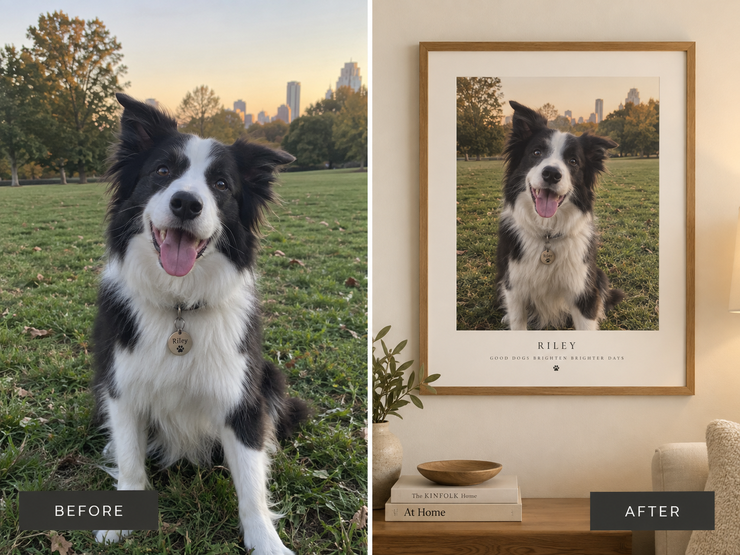 Border collie photo turned into a framed custom dog portrait, before and after — MyDogPics