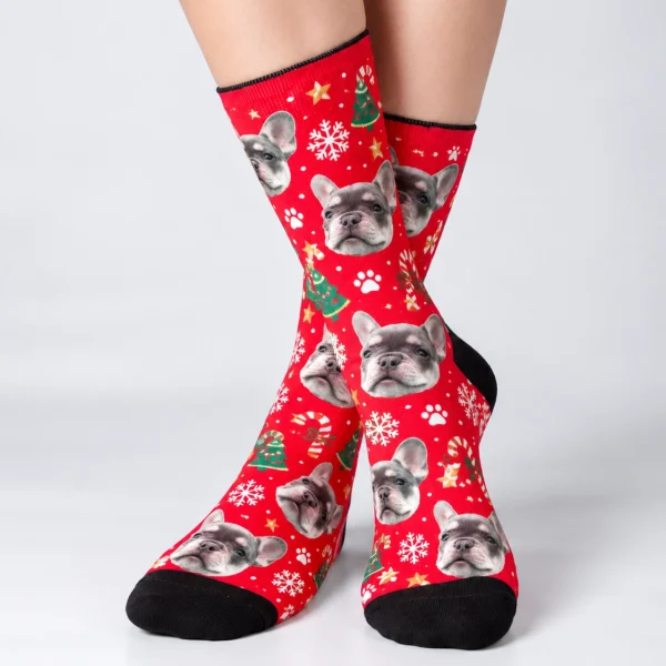 Woman posing in dog face socks, blue-gray French bulldog faces on a red Christmas print — MyDogPics