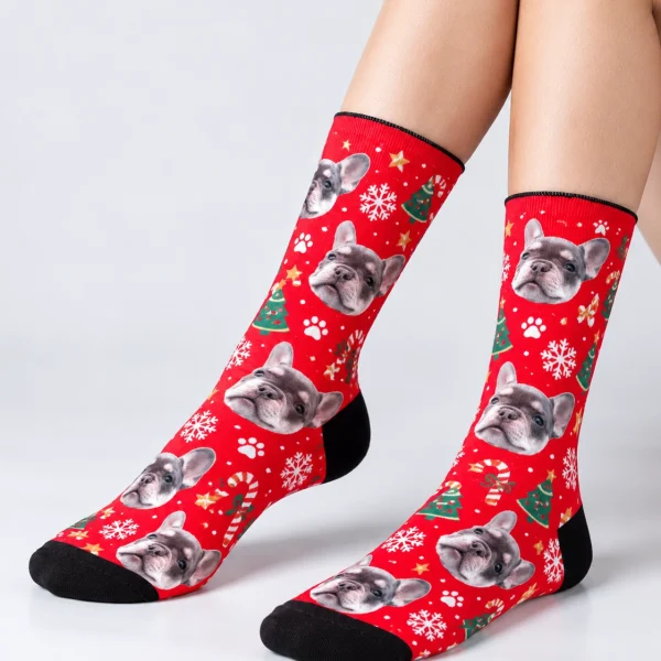 Woman posing in dog face socks, blue-gray French bulldog faces on a red Christmas print — MyDogPics
