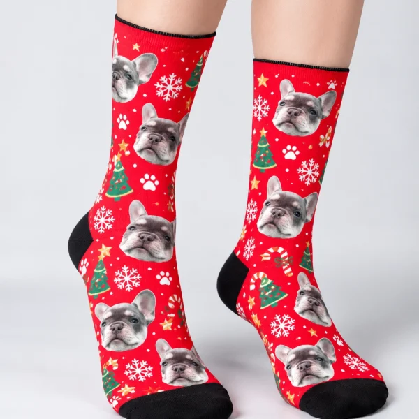 Woman posing in dog face socks, blue-gray French bulldog faces on a red Christmas print — MyDogPics