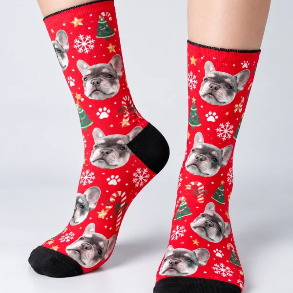 Side view of dog face socks with blue-gray French bulldog faces on a red Christmas print — MyDogPics