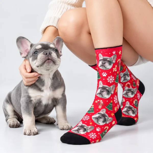 Woman in dog face socks with her French bulldog puppy — MyDogPics