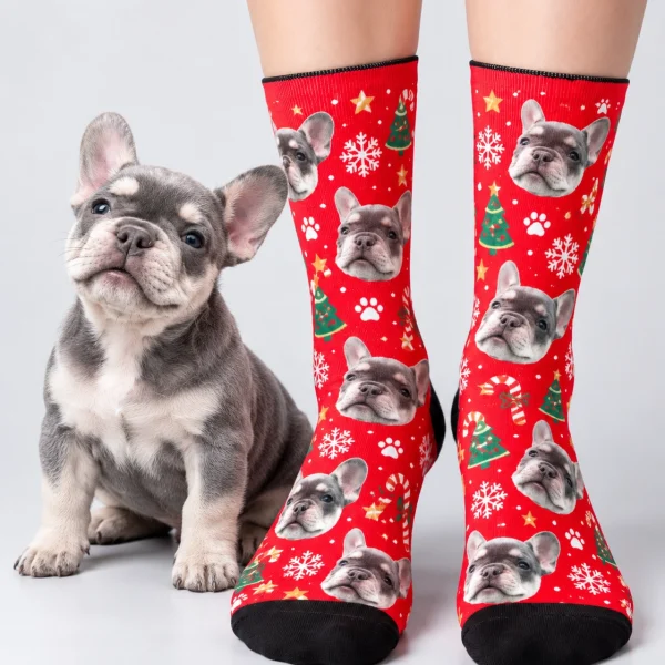 Woman in dog face socks standing next to her French bulldog puppy — MyDogPics
