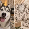 Husky face printed on a matching pajama set — MyDogPics dog face pajamas